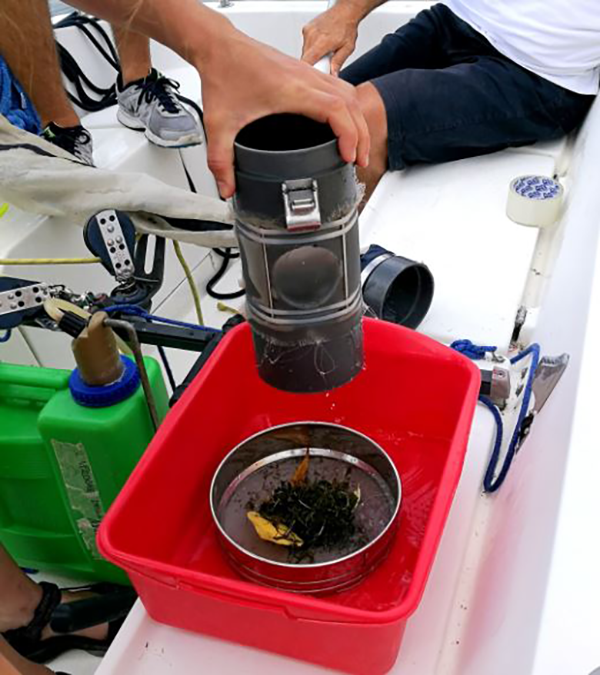 Prelievo microplastiche